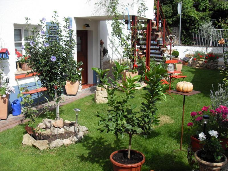Loblocher Max Und Moritz Neustadt an der Weinstrasse Exterior photo
